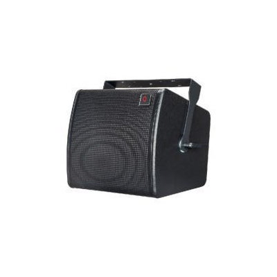 8 "coaxial full frequency point sound source speaker